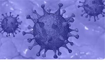 CORONAVIRUS SUPPORT